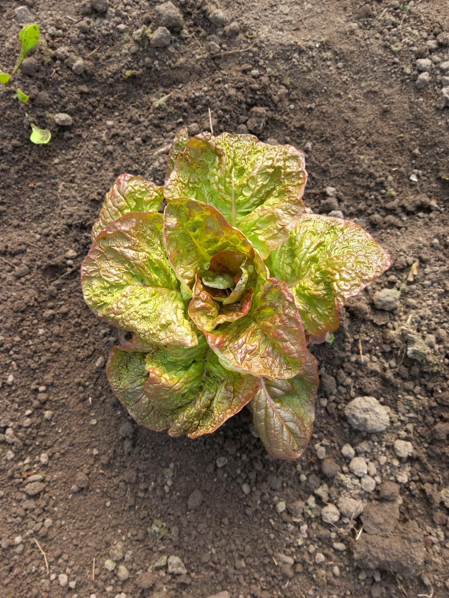 signal-2026-03-05-08-45-34-364