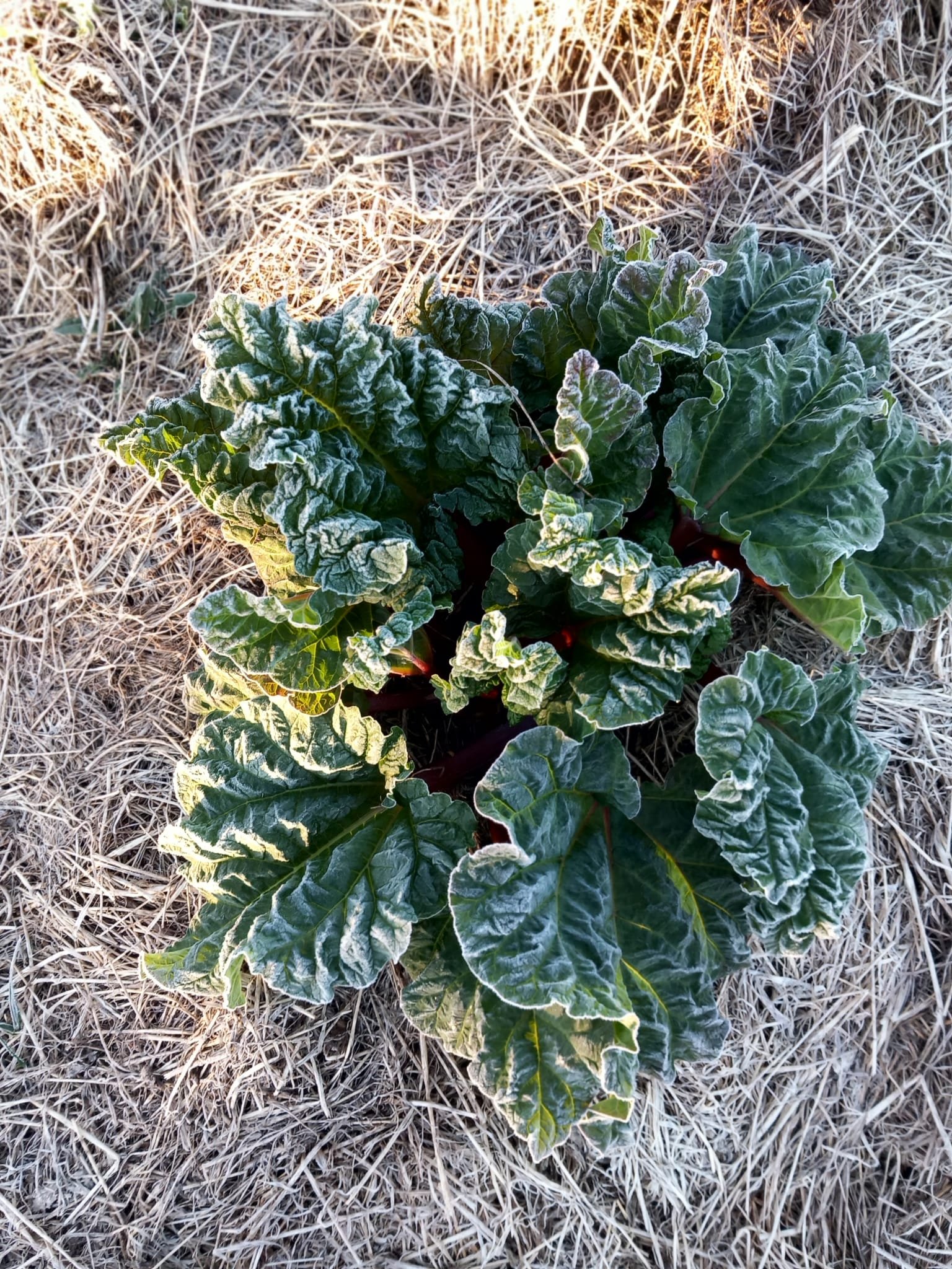 WhatsApp%20Image%202026-04-08%20at%2018.49.24