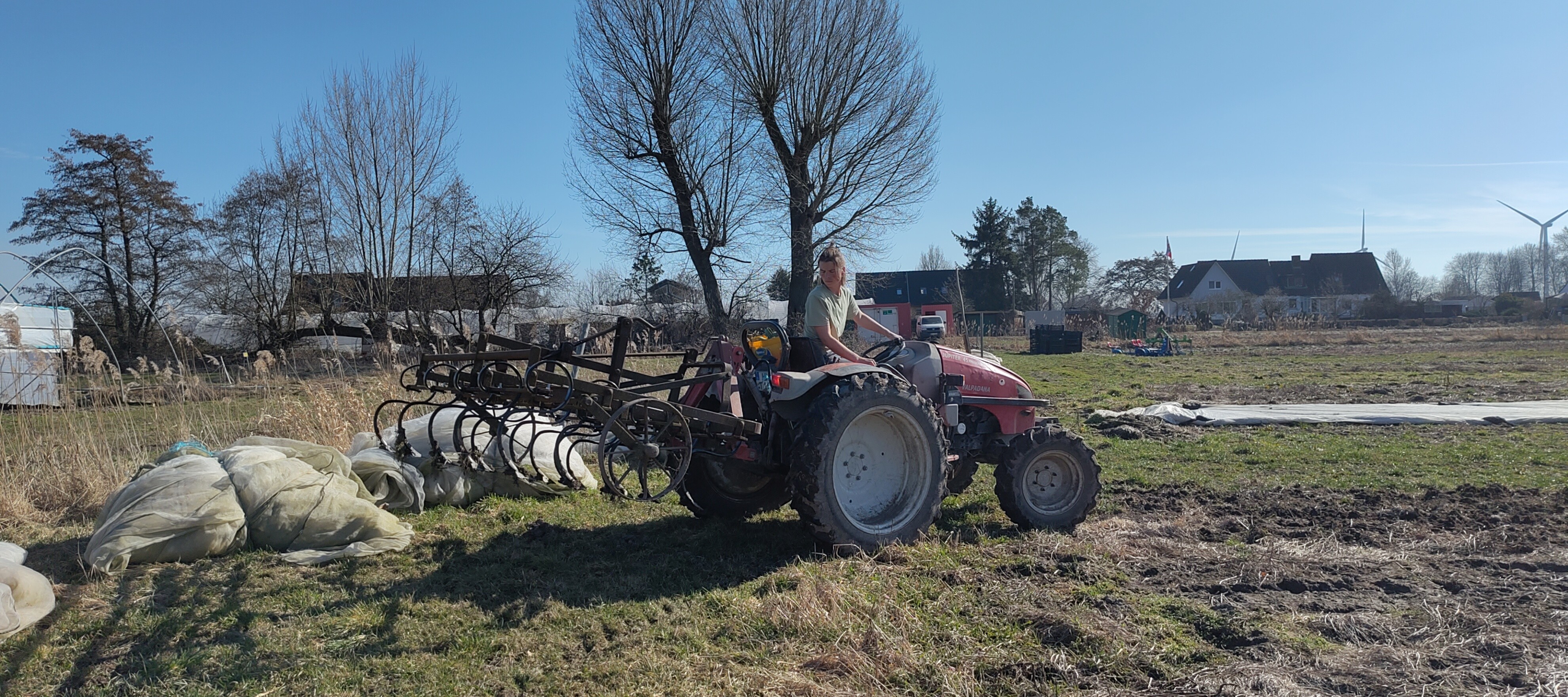 IMG_20260306_131651_1