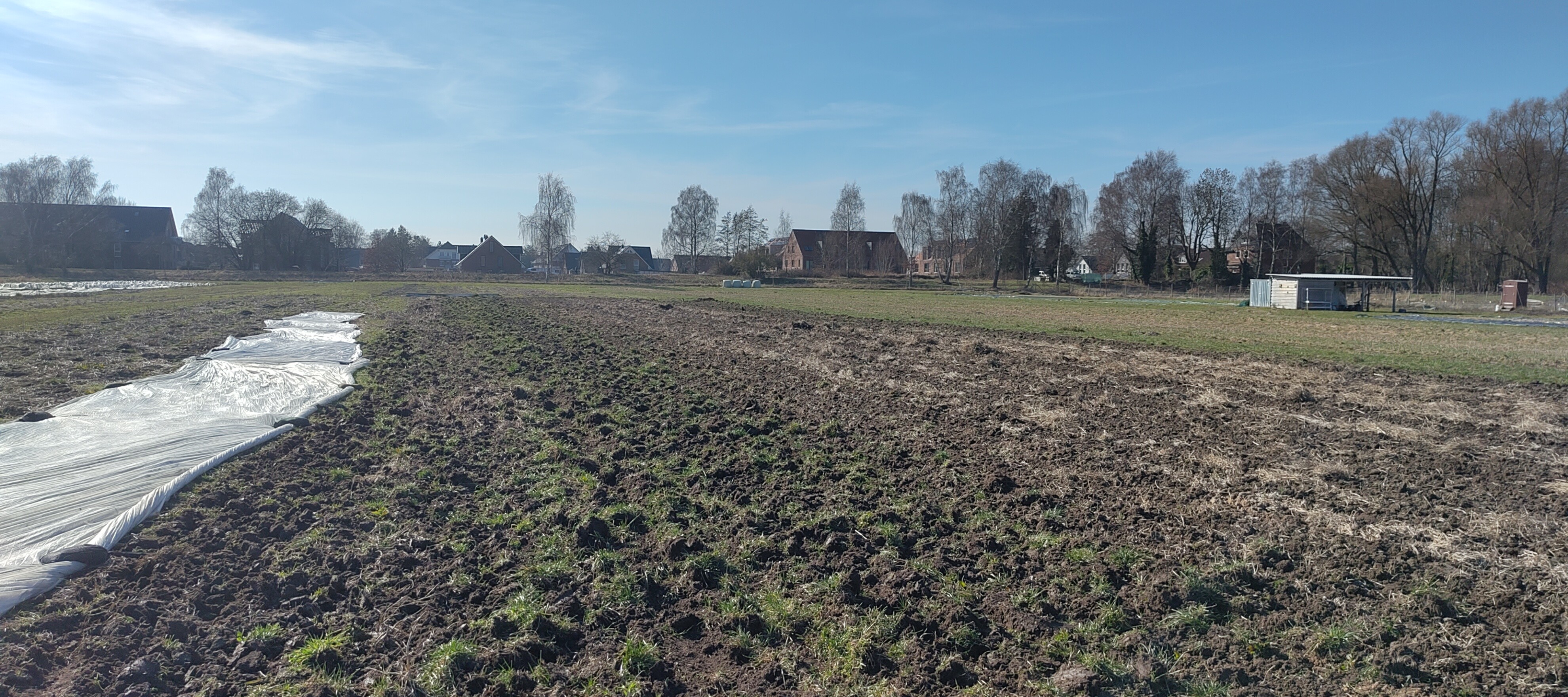 IMG_20260306_133838_1