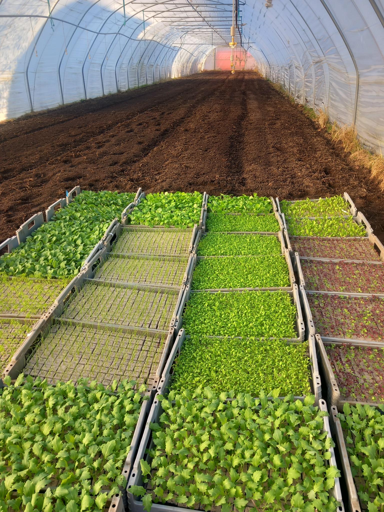 signal-2026-03-05-08-41-17-220