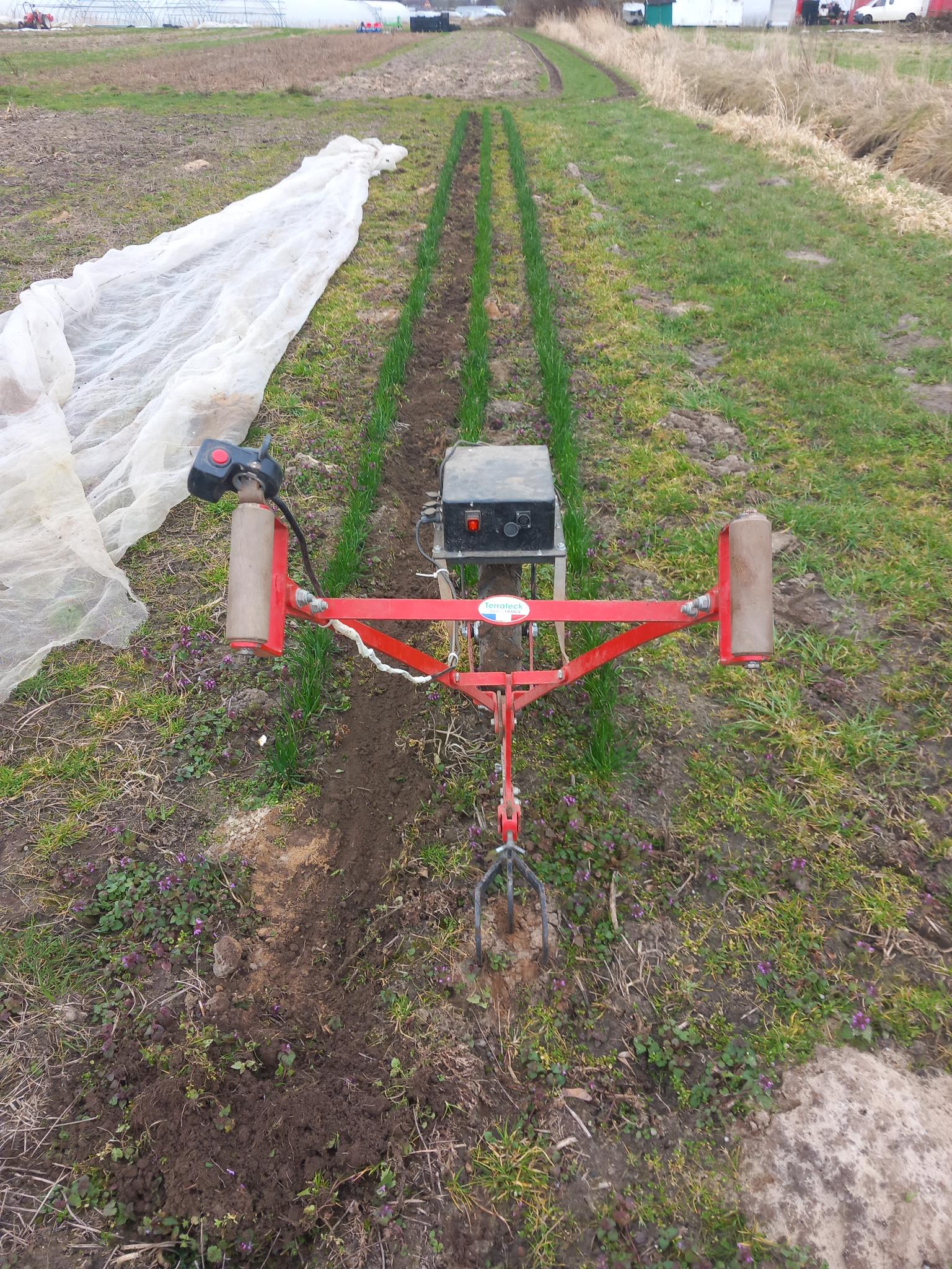 signal-2026-03-11-11-37-18-872